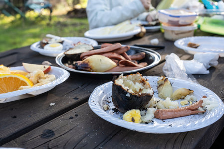 Used plates and leftover grilled food tell the story of a joyful picnic just ended in the forest....