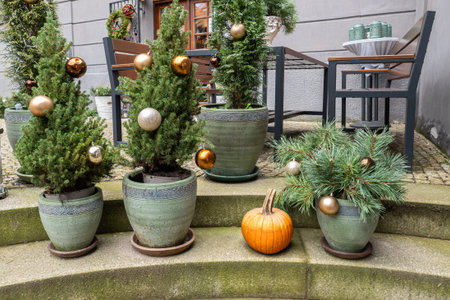 A charming scene featuring pumpkins and small pine trees decorated with ornaments. The festive display merges Halloween and Christmas elements in an outdoor setting.の写真素材