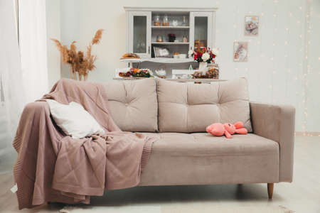 Comfortable empty sofa in the center of a modern kitchen or living room in the interior of a cozy...