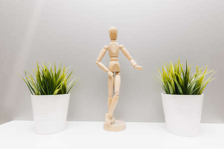 Wooden figure of a man on a shelf between two potted flowers. decor.の写真素材