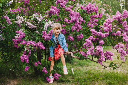 cute little girl in dress laughing in spring park near lilac. child smells lilacの写真素材