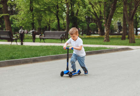 Child on a scooter in the park. A little boy rides a scooter on a sunny day. Active sports for...