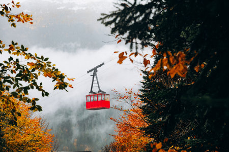 Dramatic contrast: Gondola cars move through early snow and fog over vibrant golden autumn slopes in Dombay, Caucasus. Perfect for winter travel conceptsの写真素材