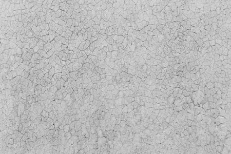 Grey rustic texture background with craquelure. Monochrome.  Black and white.の写真素材