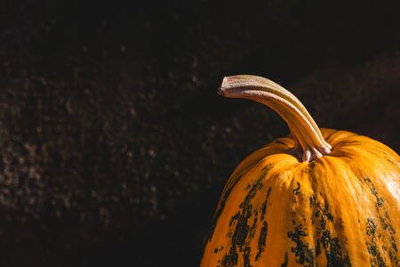 Orange pumpkin on a dark background. Minimalism concept, close up. Place for text.の写真素材