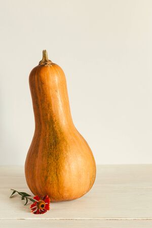 Ripe orange pumpkin on a pastel beige background with flower of Helenium autumnale. Thanksgiving card or background. Minimal concept. Place for text.の写真素材
