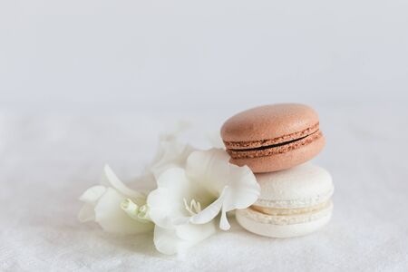 Two pastel French macarons with white flower on a white background. Place for text, close up.の写真素材
