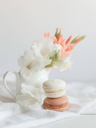 Two pastel French macarons and flowers in a jar on a white background. Cream and chocolate macarons.の写真素材