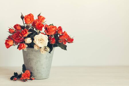 Romantic bouquet of bright roses in a vintage pot. Cream and red orange roses. Background or postcard. Place for text.の写真素材