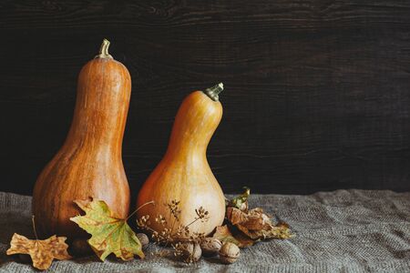 Two pumpkins with walnuts and dry yellow leaves on a sackcloth. Dark rustic wooden background.  Autumn background with pumpkins, maple leaves and nuts. Place for text.の写真素材