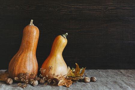Two pumpkins with walnuts and dry yellow leaves on a sackcloth. Dark rustic wooden background.  Autumn background with pumpkins, maple leaves and nuts. Place for text.の写真素材