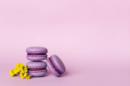 Three purple french macarons with yellow flowers on a purple background. Place for text. Close-up.の写真素材
