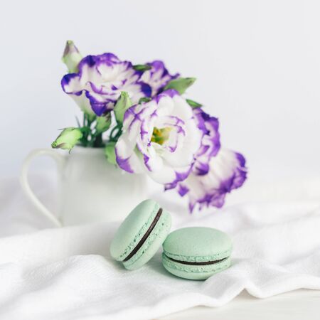 Two pastel French macarons and  flowers in a jar on a white background. Mint chocolate macarons.の写真素材