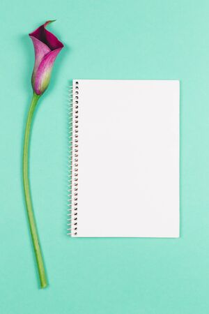 Beautiful violet calla lily and notebook with blank page on turquoise background. Flat lay. Place for text. の写真素材