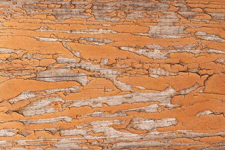 Rustic wood texture or background with yellow paint.  Close-up.の写真素材