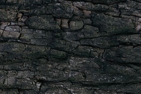 Dark wooden texture or background. Close-up. Place for text.の写真素材