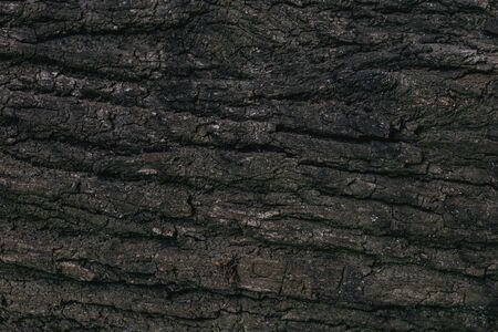 Dark wooden texture or background. Close-up. Place for text.