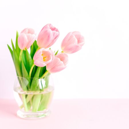Tender pink tulips in a vase. Greeting card for Women's day.  Place for text.の写真素材