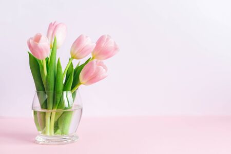 Tender pink tulips in a vase. Greeting card for Women's day.  Place for text. の写真素材