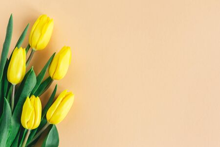 Tender yellow tulips on pastel peach background. Flat lay. Place for textの写真素材