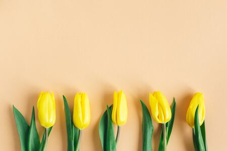 Tender yellow tulips on pastel peach background. Flat lay. Place for textの写真素材