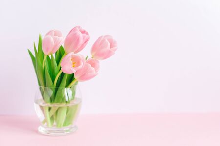 Tender pink tulips in a vase. Greeting card for Women's day.  Place for text. の写真素材