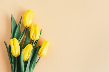 Tender yellow tulips on pastel peach background. Flat lay. Place for textの写真素材