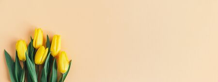 Tender yellow tulips on pastel peach background. Concept for spring banner. Flat lay. Place for text. の写真素材