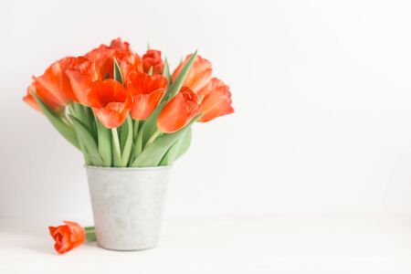 Romantic bouquet of bright red tulips in a vintage pot. Background or postcard. Place for text. の写真素材