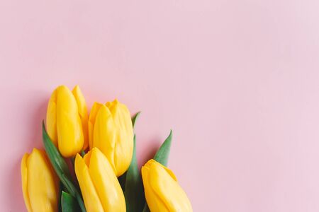 Tender yellow tulips on pastel pink background. Greeting card for Mother's day. Flat lay. Place for text. の写真素材