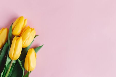 Tender yellow tulips on pastel pink background. Greeting card for Mother's day. Flat lay. Place for text. の写真素材