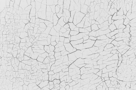 Grey rustic texture background with craquelure. Monochrome.  Black and white.の写真素材