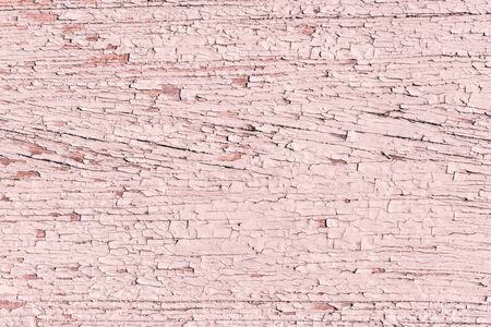 Rustic wood texture or background with pink pastel paint.  Close-up.の写真素材