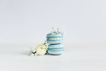 Tasty french blue macaroons with rose bud and small white flowers on a white background.  Place for text.の写真素材