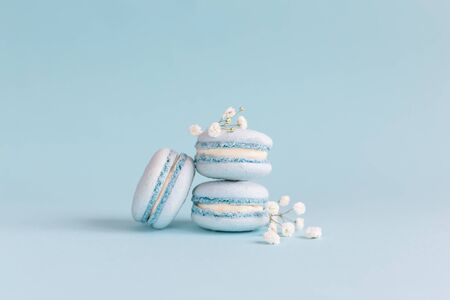 Tasty french macaroons with small white flowers on a blue pastel background.  Place for text.の写真素材