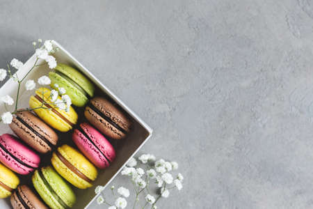 Set of tasty multi-colored french macaroons on a grey background. Pink, green and brown macaroons. Place for text.の写真素材