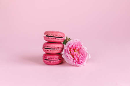 Tasty french macaroons with rose flower on a pink pastel background. Place for text.の写真素材