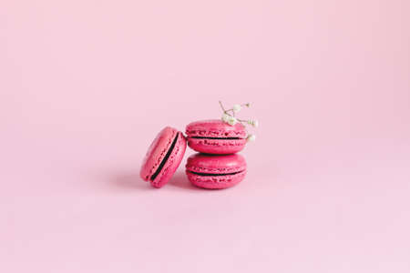 Tasty french macaroons with small white flower on a pink pastel background. Place for text.の写真素材