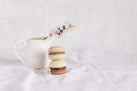 Two tasty French macarons and a jar with blossoming branch on a white background. Pastel colors. Spring background.の写真素材