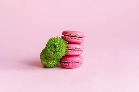 Tasty french macaroons with green flower on a pink pastel background. Place for text.の写真素材