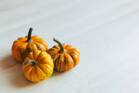 Ripe orange pumpkins on a white wooden background. Minimalistic concept for Thanksgiving card or...