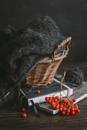 Hand knitting with needles, yarn ball and rowan berries on a dark wooden background. Concept for handmade and hugge slow life.の写真素材