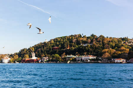 Amazing view of Istanbul city from the sea, Bosporus strait, Turkey. Beautiful sunny day.