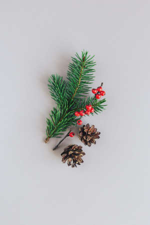 Christmas background with spruce branches, red berries and pine cones. Holiday eco-friendly concept....