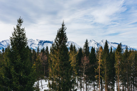 Winter mountain landscape in High Tatry, Slovakia. Beautiful cloudy sky.の写真素材