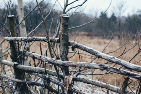 Late autumn landscape with wooden fence and dry plants.の写真素材