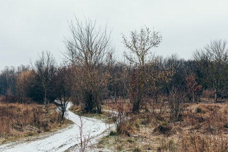 Late autumn landscape with road and first snow. Natural background.の写真素材