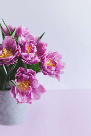 Tender violet tulips in a vintage pot on a pastel violet background. Greeting card for Women's day. Flat lay. Place for text.の写真素材