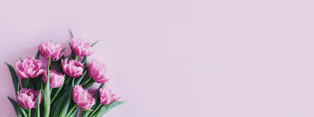 Tender violet tulips on pastel violet background. Flat lay. Place for text.の写真素材