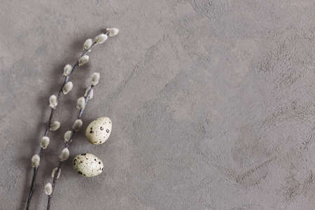 Easter background with eggs and spring willow branches. Minimal concept.の写真素材